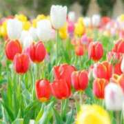 ヒメ日記 2025/03/08 17:03 投稿 リリア ミセスコレクション