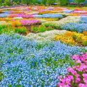 ヒメ日記 2025/03/10 05:53 投稿 リリア ミセスコレクション