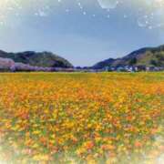 ヒメ日記 2025/03/15 05:53 投稿 リリア ミセスコレクション