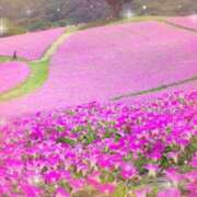 ヒメ日記 2025/03/16 05:53 投稿 リリア ミセスコレクション