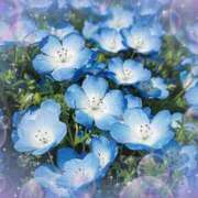 ヒメ日記 2025/03/17 05:55 投稿 リリア ミセスコレクション