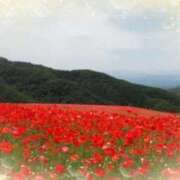 ヒメ日記 2025/03/18 06:03 投稿 リリア ミセスコレクション