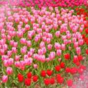 ヒメ日記 2025/03/19 06:03 投稿 リリア ミセスコレクション