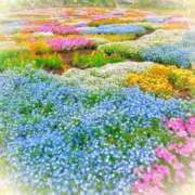 ヒメ日記 2025/03/22 06:03 投稿 リリア ミセスコレクション