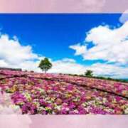 ヒメ日記 2025/03/24 06:15 投稿 リリア ミセスコレクション