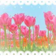 ヒメ日記 2025/03/26 05:55 投稿 リリア ミセスコレクション