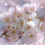 ヒメ日記 2025/03/29 17:33 投稿 リリア ミセスコレクション