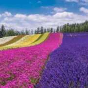 ヒメ日記 2025/03/30 06:13 投稿 リリア ミセスコレクション