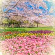 ヒメ日記 2025/03/31 05:43 投稿 リリア ミセスコレクション