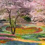 ヒメ日記 2025/03/31 16:53 投稿 リリア ミセスコレクション