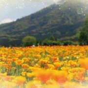 ヒメ日記 2025/04/01 05:13 投稿 リリア ミセスコレクション