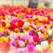 ヒメ日記 2025/04/02 05:25 投稿 リリア ミセスコレクション