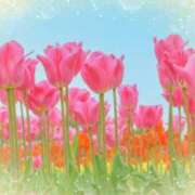 ヒメ日記 2025/04/03 05:33 投稿 リリア ミセスコレクション