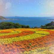 ヒメ日記 2025/04/04 06:03 投稿 リリア ミセスコレクション