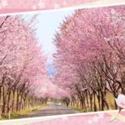 ヒメ日記 2025/04/05 06:13 投稿 リリア ミセスコレクション