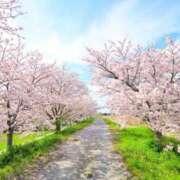 ヒメ日記 2025/04/09 17:53 投稿 リリア ミセスコレクション