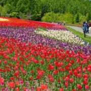 ヒメ日記 2025/04/10 05:35 投稿 リリア ミセスコレクション