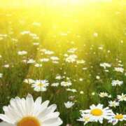 ヒメ日記 2025/04/14 05:53 投稿 リリア ミセスコレクション