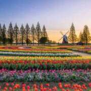 ヒメ日記 2025/04/15 08:55 投稿 リリア ミセスコレクション