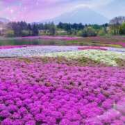 ヒメ日記 2025/04/16 05:53 投稿 リリア ミセスコレクション