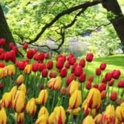 ヒメ日記 2025/04/18 05:55 投稿 リリア ミセスコレクション