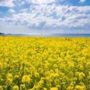 ヒメ日記 2025/04/19 05:33 投稿 リリア ミセスコレクション