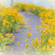 ヒメ日記 2025/04/24 05:55 投稿 リリア ミセスコレクション