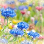 ヒメ日記 2025/04/25 05:43 投稿 リリア ミセスコレクション