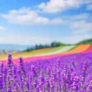 ヒメ日記 2025/04/26 06:03 投稿 リリア ミセスコレクション