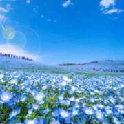 ヒメ日記 2025/04/28 05:43 投稿 リリア ミセスコレクション