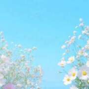 ヒメ日記 2025/04/29 05:45 投稿 リリア ミセスコレクション