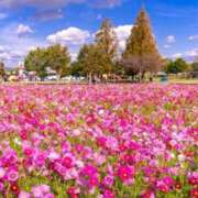 ヒメ日記 2025/05/01 05:33 投稿 リリア ミセスコレクション