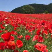 ヒメ日記 2025/05/02 05:53 投稿 リリア ミセスコレクション