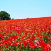 ヒメ日記 2025/05/02 05:55 投稿 リリア ミセスコレクション