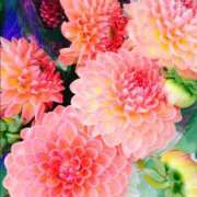 ヒメ日記 2025/05/03 05:24 投稿 リリア ミセスコレクション