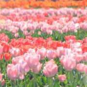 ヒメ日記 2025/05/08 05:53 投稿 リリア ミセスコレクション