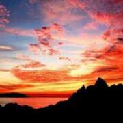 ヒメ日記 2025/05/14 18:03 投稿 リリア ミセスコレクション