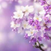 ヒメ日記 2025/05/18 05:55 投稿 リリア ミセスコレクション