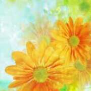 ヒメ日記 2025/05/19 05:53 投稿 リリア ミセスコレクション