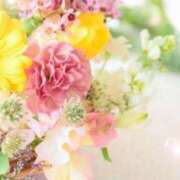 ヒメ日記 2025/05/20 05:43 投稿 リリア ミセスコレクション