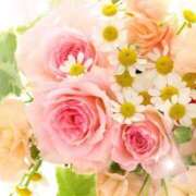 ヒメ日記 2025/05/24 06:13 投稿 リリア ミセスコレクション