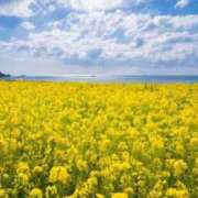 ヒメ日記 2025/05/26 06:05 投稿 リリア ミセスコレクション