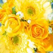 ヒメ日記 2025/05/27 05:43 投稿 リリア ミセスコレクション