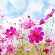 ヒメ日記 2025/05/28 05:53 投稿 リリア ミセスコレクション