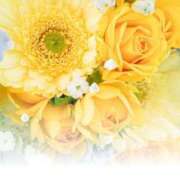 ヒメ日記 2025/05/30 05:53 投稿 リリア ミセスコレクション