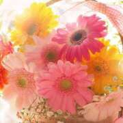 ヒメ日記 2025/05/31 06:13 投稿 リリア ミセスコレクション