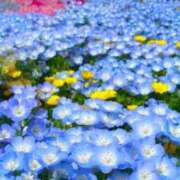 ヒメ日記 2025/06/01 06:06 投稿 リリア ミセスコレクション