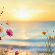 ヒメ日記 2025/06/01 18:23 投稿 リリア ミセスコレクション