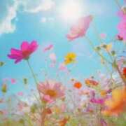 ヒメ日記 2025/06/02 05:53 投稿 リリア ミセスコレクション