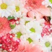 ヒメ日記 2025/06/03 06:03 投稿 リリア ミセスコレクション